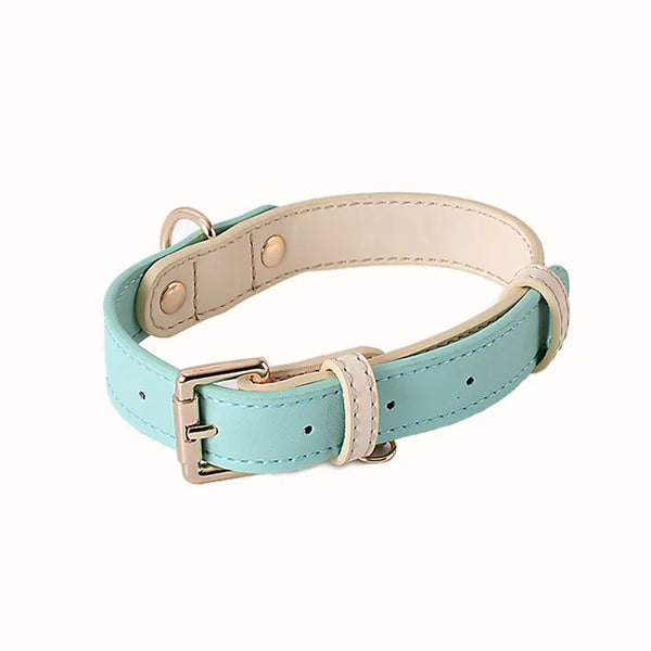 Tiffany Blue Leather Dog Collar